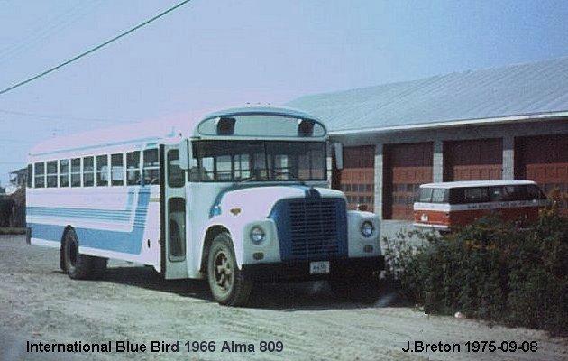 BUS/AUTOBUS: Blue Bird C300 1966 Alma