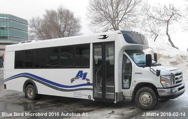 BUS/AUTOBUS: Blue Bird Micro Bird 2016 Autobus A1