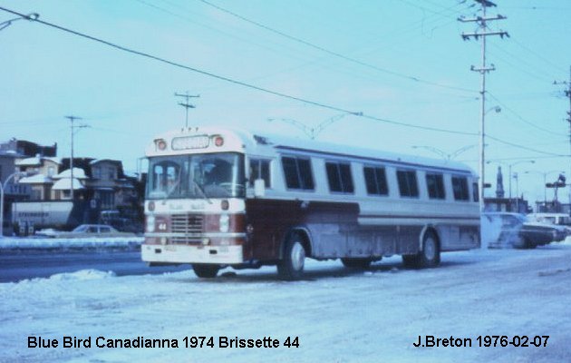 BUS/AUTOBUS: Blue Bird Canadianna 1974 Brissette