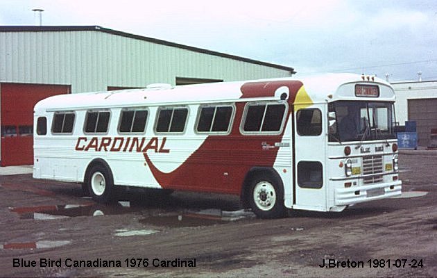 BUS/AUTOBUS: Blue Bird Canadiana 1976 Cardinal