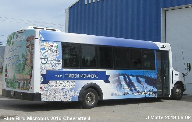 BUS/AUTOBUS: Blue Bird MicroBird 2016 Chevrette