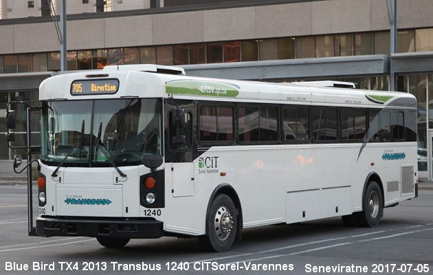 BUS/AUTOBUS: Blue Bird TX 4 2013 Transbus