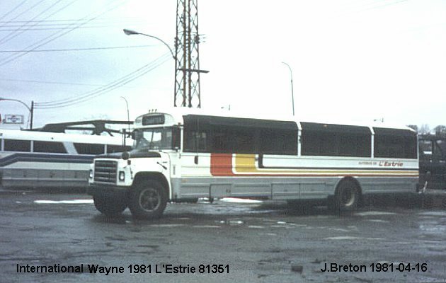 BUS/AUTOBUS: Wayne C1 1981 Estrie