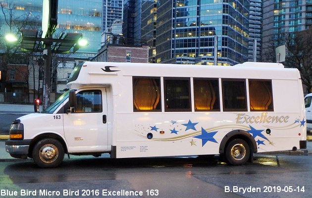 BUS/AUTOBUS: Blue Bird MicroBird 2016 Excellence