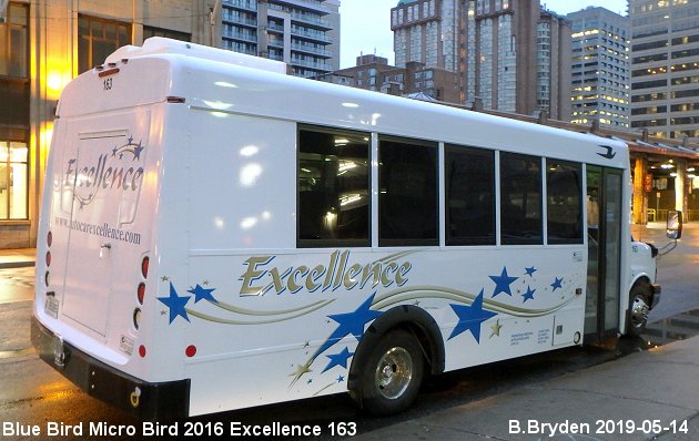 BUS/AUTOBUS: Blue Bird MicroBird 2016 Excellence