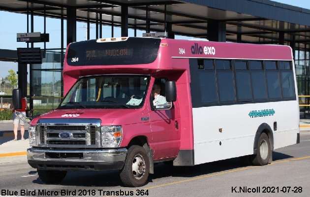 BUS/AUTOBUS: Blue Bird MicroBird 2018 Transbus