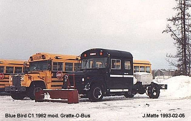 BUS/AUTOBUS: Blue Bird Mod. 1980 Gratte-o-Bus