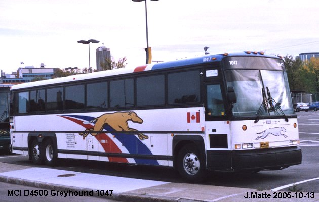 BUS/AUTOBUS: MCI D4500 1999 Greyhound
