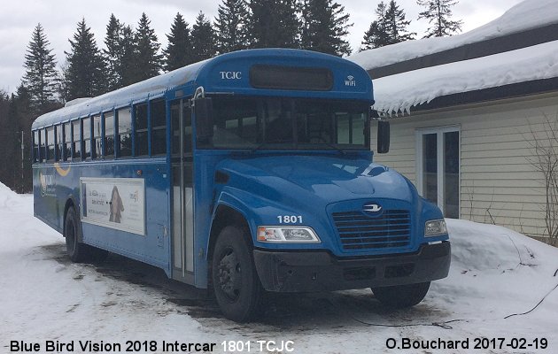 BUS/AUTOBUS: Blue Bird Vision 2018 Intercar