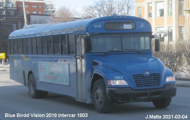 BUS/AUTOBUS: Blue Bird Vision 2018 Intercar