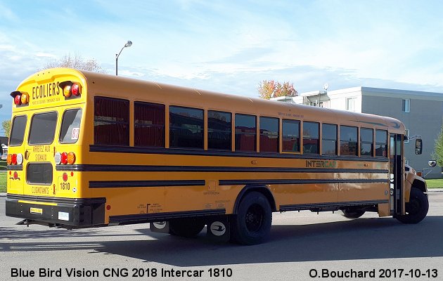 BUS/AUTOBUS: Blue Bird Vision CNG 2018 Intercar