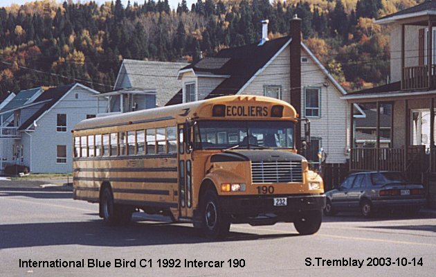 BUS/AUTOBUS: Blue Bird Conventionel 1992 Intercar