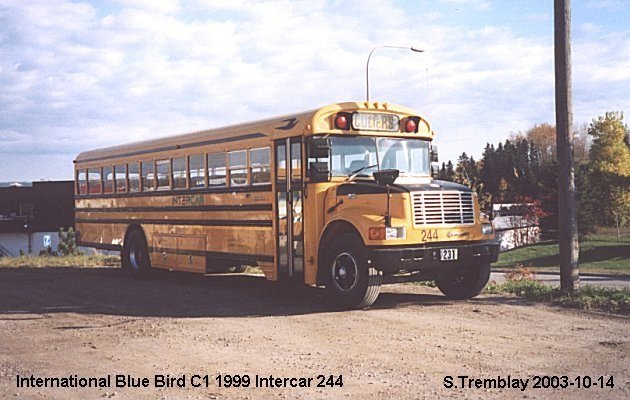 BUS/AUTOBUS: Blue Bird C1 1999 Intercar