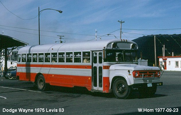 BUS/AUTOBUS: Wayne C1 1975 Levis