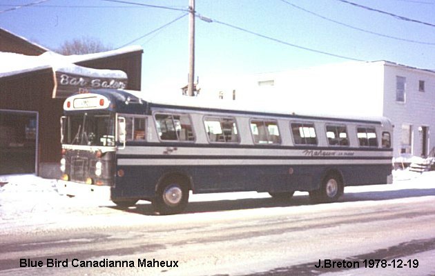 BUS/AUTOBUS: Blue Bird Canadianna 1976 Maheux