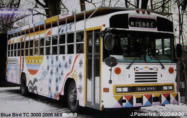 BUS/AUTOBUS: Blue Bird TC 3000 2006 Maxibus