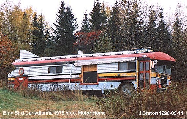 BUS/AUTOBUS: Blue Bird Canadiana 1975 Prive
