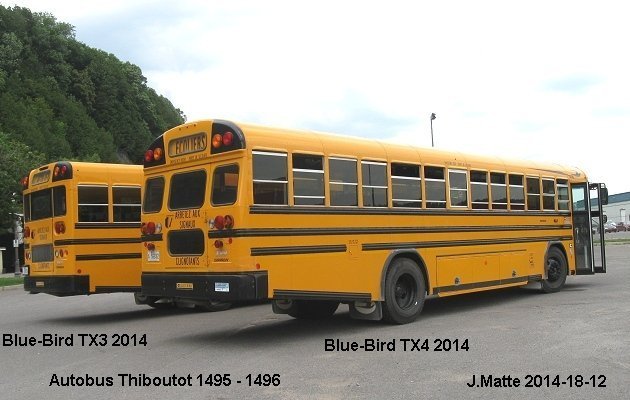 BUS/AUTOBUS: Blue Bird TX4 2014 Thiboutot