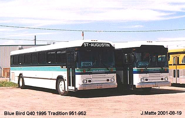 BUS/AUTOBUS: Blue Bird Q Type 1995 Tradition