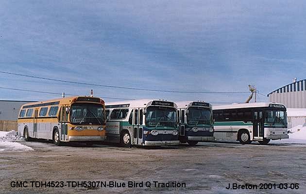 BUS/AUTOBUS: GMC TDH 4523/5307/Q type 1995 Tradition