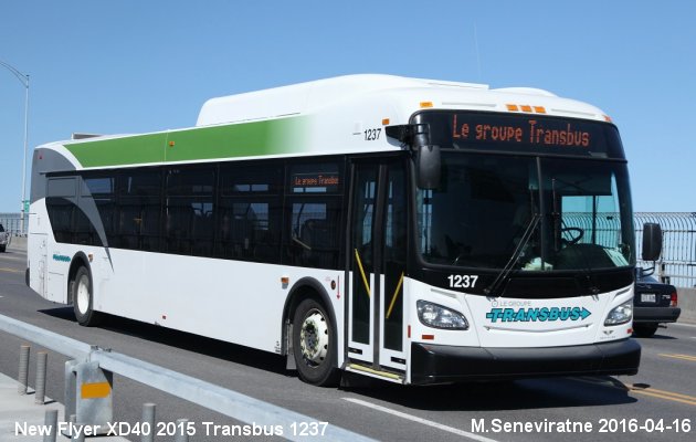 BUS/AUTOBUS: New Flyer XD40  2015 Transbus